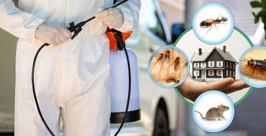Eruh Böcek İlaçlama