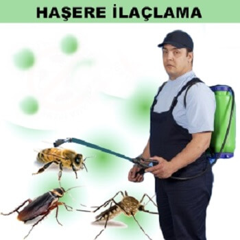 Eruh Böcek İlaçlama